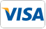 Logo visa